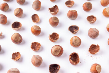 hazelnuts on white background pattern