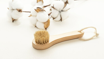 Fototapeta na wymiar a small wooden eco-brush for facial massage with natural bristles