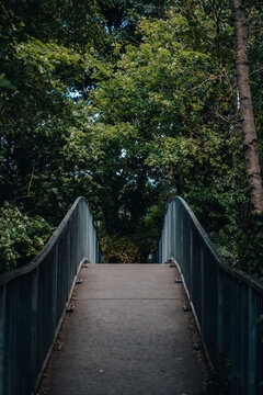 bridge in the forest © Gabriel