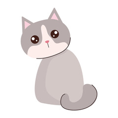 Obraz na płótnie Canvas cute cat gray color
