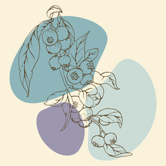 Linear flowers, wildflowers in lines vintage style
