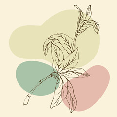 Linear flowers, wildflowers in lines vintage style

