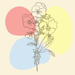 Linear flowers, wildflowers in lines vintage style
