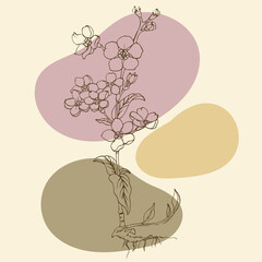 Linear flowers, wildflowers in lines vintage style
