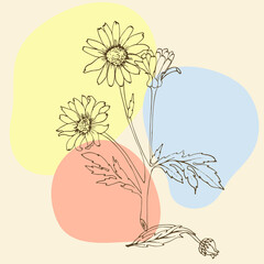 Linear flowers, wildflowers in lines vintage style
