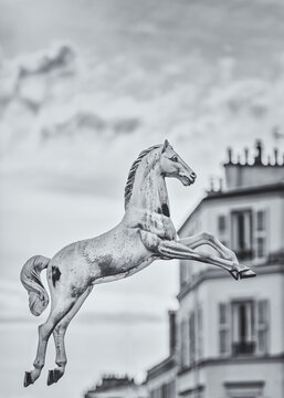 Flying horse over Paris - black and white photography