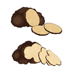 Whole and Sliced Truffle as Fruiting Body of Subterranean Ascomycete Fungus Vector Set