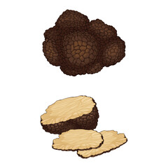 Whole and Sliced Truffle as Fruiting Body of Subterranean Ascomycete Fungus Vector Set