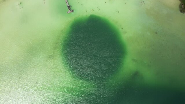 Aerial birds eye overhead top down view of tropical lake. Emerald green water in depth and pastel color in shallow at banks. Kaan Luum lagoon, Tulum, Yucatan, Mexico