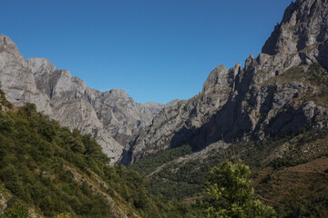 Obraz premium Contrast between the green valley and the rocky peaks at Cares Natural Park in the north of Spain