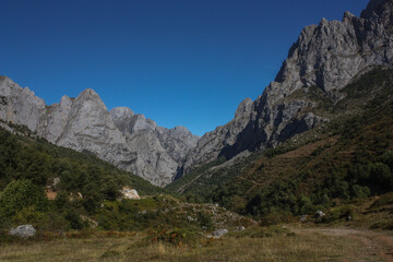 Obraz premium Green valley with a rocky background at Cares Natural Park in the north of Spain