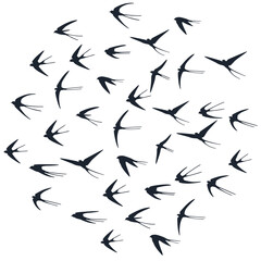 Flying martlet birds silhouettes vector illustration. Migratory martlets flock isolated on white.