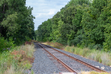 Fototapeta na wymiar Railroad train tracks traveling through an American countryside with trees