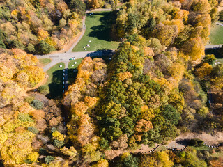 Aerial Autumn view of South Park in city of Sofia, Bulgaria