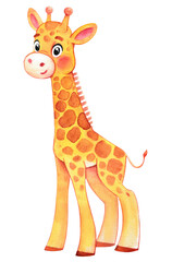 Watercolor cute giraffe . Watercolor animal, on an isolated background, for children's parties. Wall decoration.