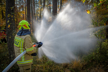 Strażacy podczas akcji gaśniczej w lesie - obrazy, fototapety, plakaty