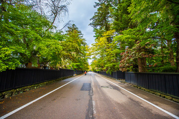 Fototapeta premium 秋田県 角館武家屋敷