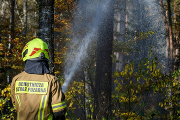 Strażacy podczas akcji gaśniczej w lesie - obrazy, fototapety, plakaty