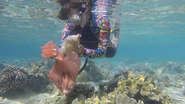 Woman in diving equipment swims and collects plastic debris underwater on the bottom of coral reef. Snorkeler cleaning Ocean from plastic pollution. Plastic pollution of the Ocean (4K-60fps)