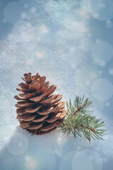 Pine cone in a snowdrift. Christmas holidays concept. Natural decor. Coniferous branch in winter. The concept of winter holidays, new year, christmas, the beauty of the winter forest. Copyspace.