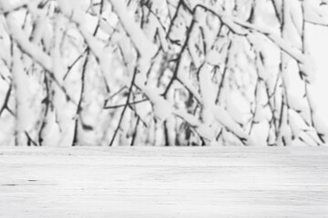 White, rustic, wooden table background mockup, in front of snow covered tree branches. Empty for digital product mockups.