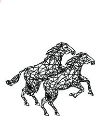 CAVALO, HORSE, CAVALOS