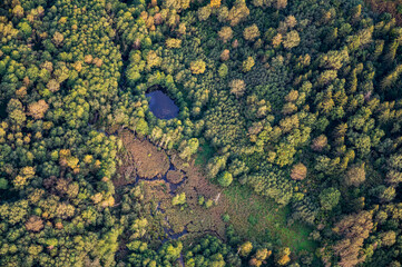 Aerial view on blue swamps and lakes hidden in Lithuanian forest
