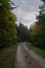 Fototapeta na wymiar Landschaft im Herbst