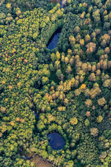 Aerial view on blue swamps and lakes hidden in Lithuanian forest