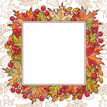 Fall Autumn leaves Hello autumn, mountain ash, maple, oak, birch fall leaves frame vector illustration