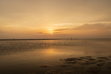 Obraz premium Shorebirds at sunset on the beach