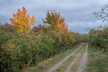 Obraz premium Landschaft im Herbst
