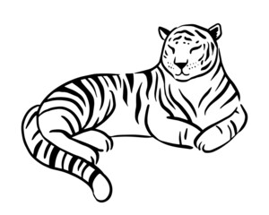 Chinese tiger lies isolated on the white background. White tiger in realistic style. Year of the tiger. Chinese new year. Vector illustaration.