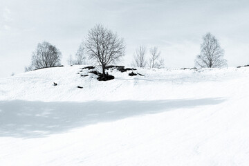 Winter landscape of Toten, Norway.