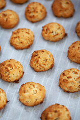 Homemade delicious apple cookies on rustic autumn background