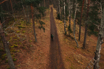 Small Figure of a Woman With Backpack on a Path in the Woods