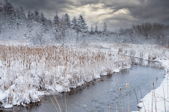 A river or stream flowing through marshland in a frozen landscape.