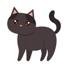 cute cat gray