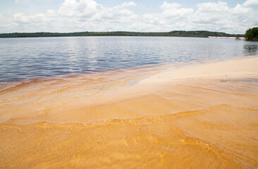 rio negro wine color water in Manaus interior of brazil