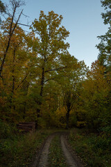 Landschaft im Herbst
