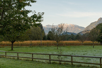 Vaduz, Liechtenstein, October 11, 2021 Green meadow in the morning in autumn