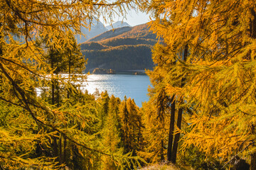 lake in autumn - Silsersee, Switzerland