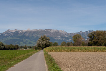 Fototapeta na wymiar Vaduz, Liechtenstein, October 11, 2021 Corn field in front of the alps