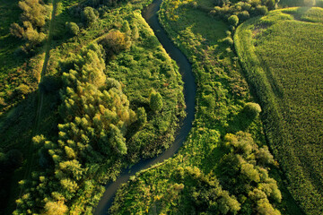 River in the wild. Aerial view of small river in middle of green forest in the wildlife. Natural Resource and Ecosystem. Wildlife Refuge Wetland Restoration. European Green Nature Scenery.