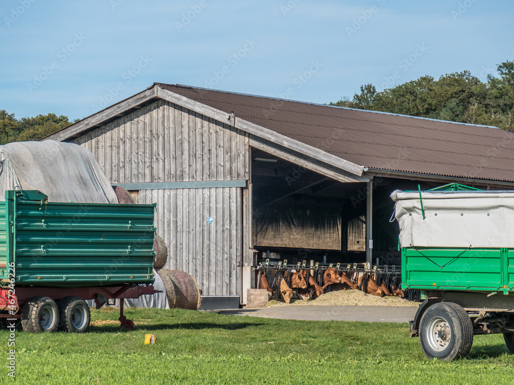 Wall mural Stroh und Silageballen Lager