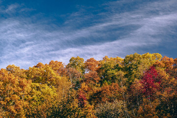 日本の秋の風景