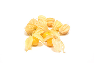 白背景の食用ほおずき