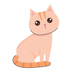 Obraz premium cute cat seated