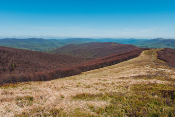 Mountain meadows, Bieszczady Mountains, Poland