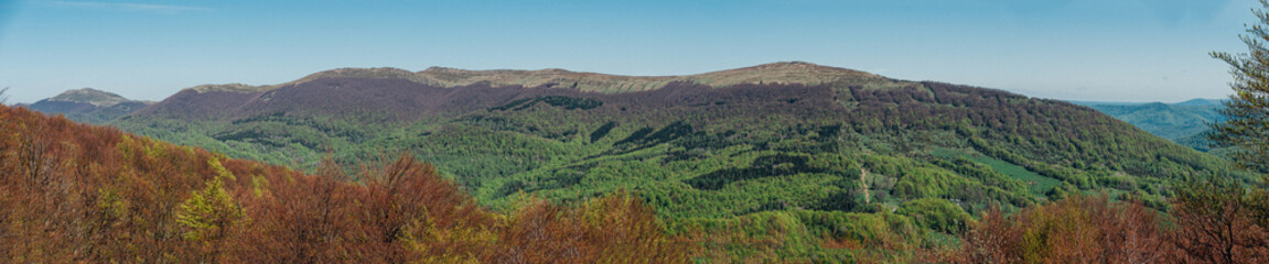 Fototapeta na wymiar Mountain panorama of forested peaks in early spring, Bieszczady Mountains, Poland